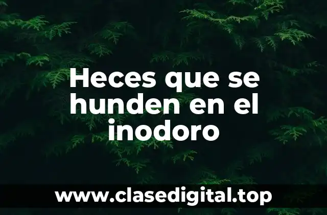 ¿Qué son las heces que se hunden en el inodoro?