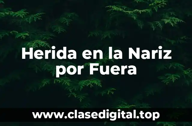 Causas de la Herida en la Nariz por Fuera