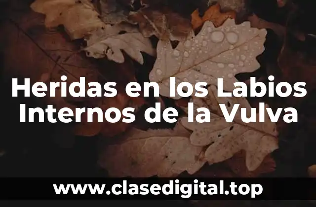 Heridas en los Labios Internos de la Vulva