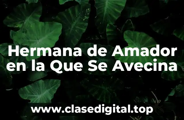 Hermana de Amador en la Que Se Avecina