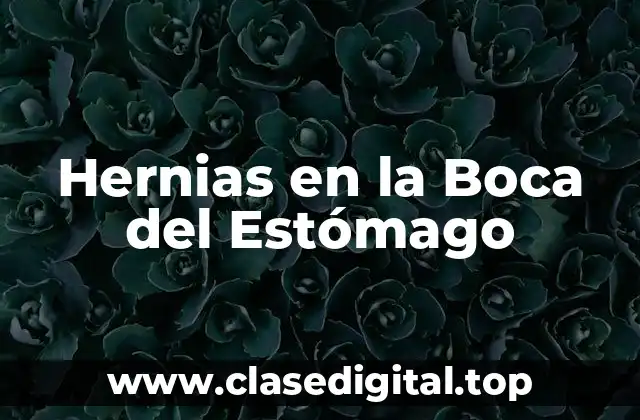 Hernias en la Boca del Estómago