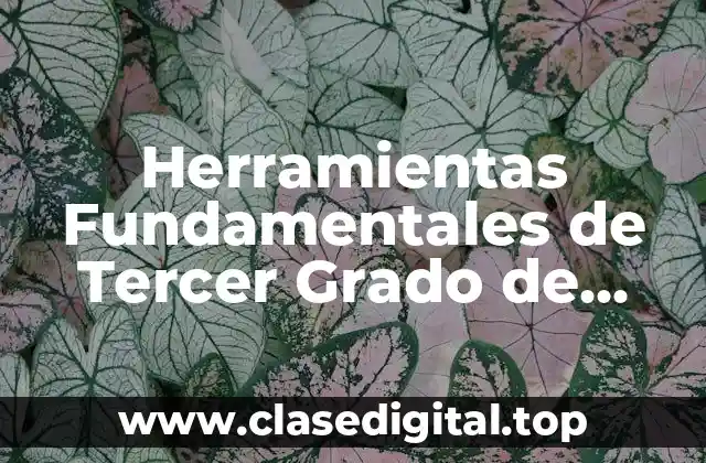 Ejemplos de Herramientas Fundamentales de Tercer Grado de Primaria