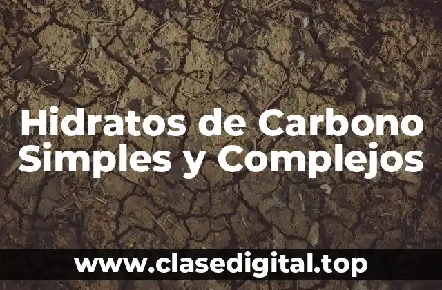 Hidratos de Carbono Simples y Complejos