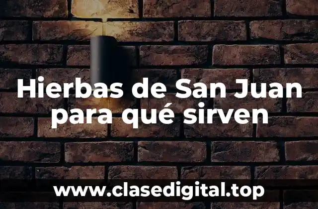 Propiedades Medicinales de las Hierbas de San Juan