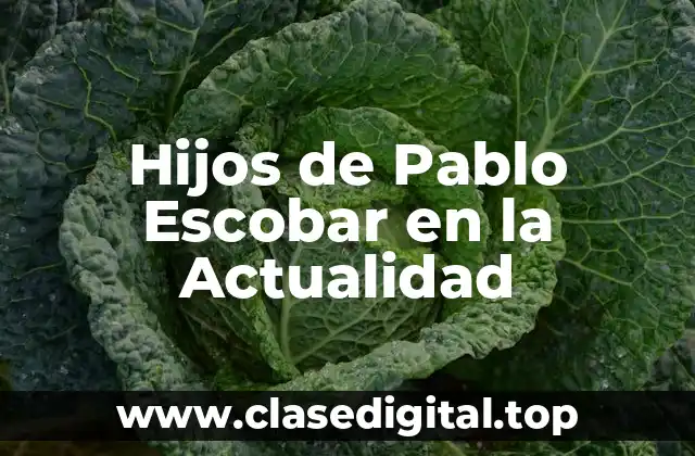 Hijos de Pablo Escobar en la Actualidad