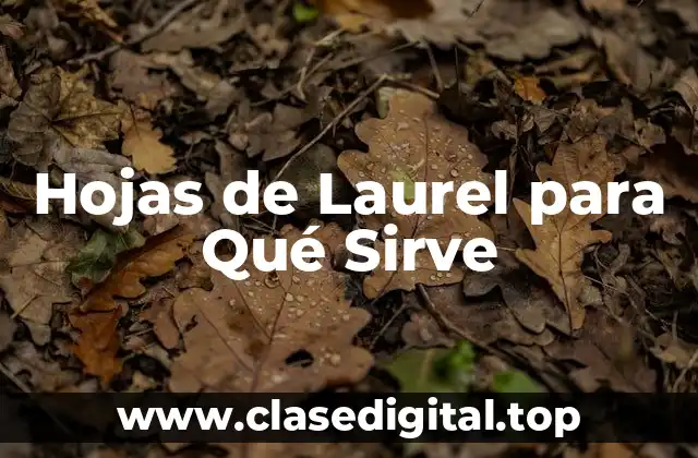Hojas de Laurel para Qué Sirve