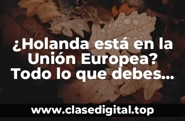 ¿Holanda está en la Unión Europea? Todo lo que debes saber