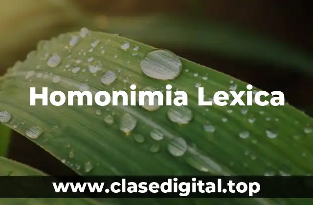 Homonimia Lexica