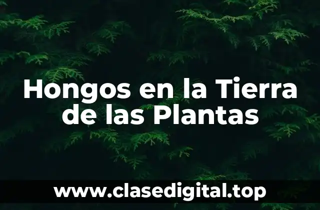 ¿Qué son los Hongos en la Tierra de las Plantas?