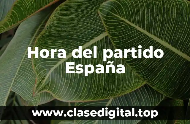 Hora del partido España