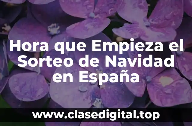 Hora que Empieza el Sorteo de Navidad en España