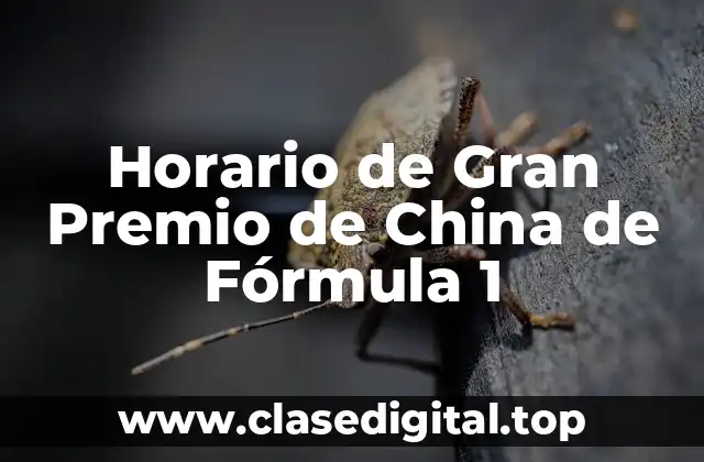 Fecha del Gran Premio de China de Fórmula 1