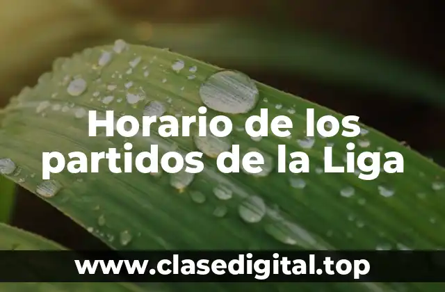 Horario de los partidos de la Liga
