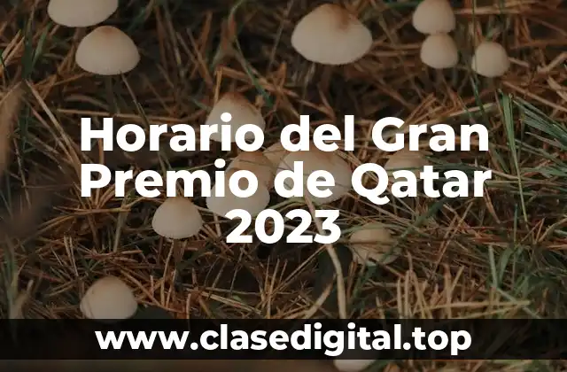 Horario del Gran Premio de Qatar 2023