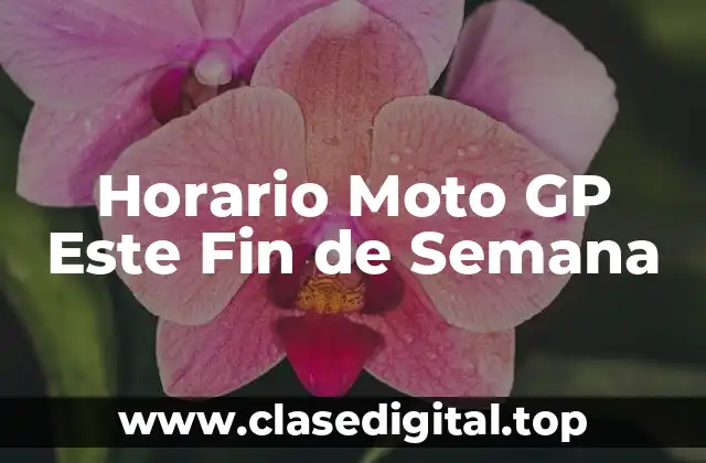 Horario Moto GP Este Fin de Semana