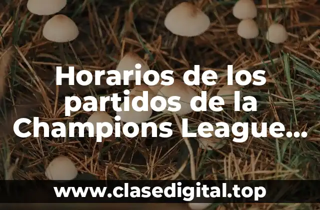 Horarios de los partidos de la Champions League en vivo