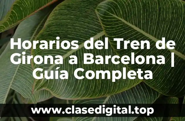 Horarios del Tren de Girona a Barcelona | Guía Completa
