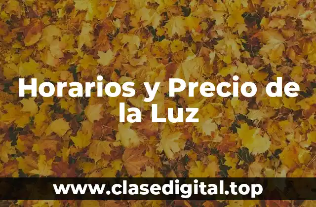 Cómo se Establecen los Precios de la Luz