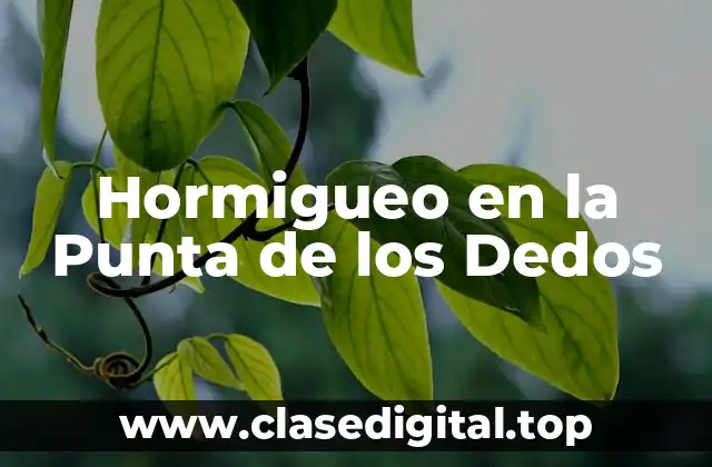 Causas del Hormigueo en la Punta de los Dedos