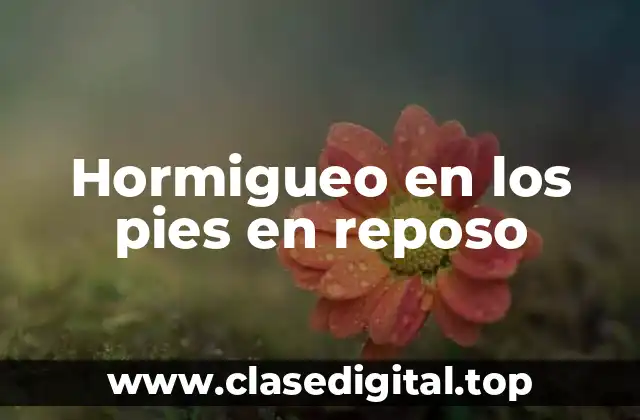 Causas del Hormigueo en los Pies en Reposo