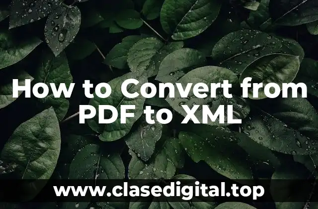How to Convert from PDF to XML