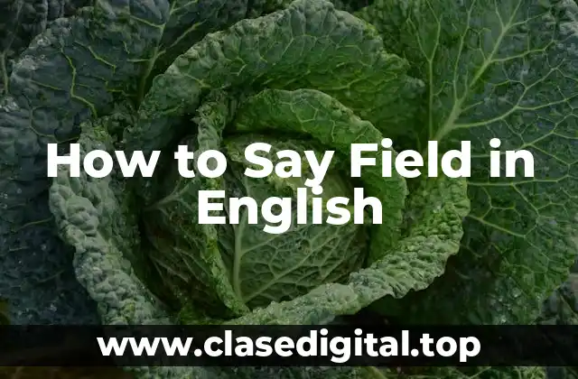 How to Say Field in English