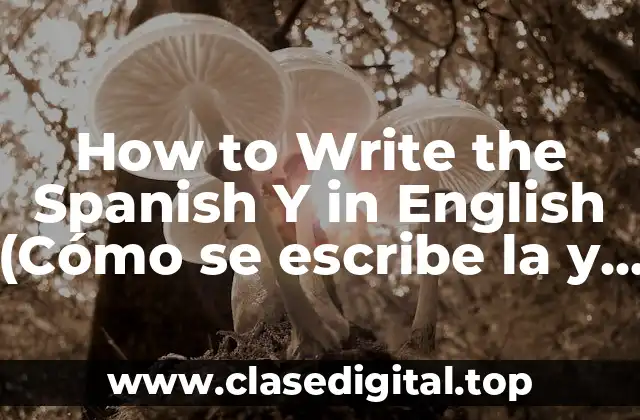How to Write the Spanish Y in English (Cómo se escribe la y en inglés)