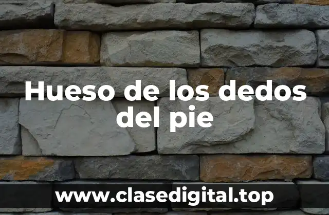 Hueso de los dedos del pie