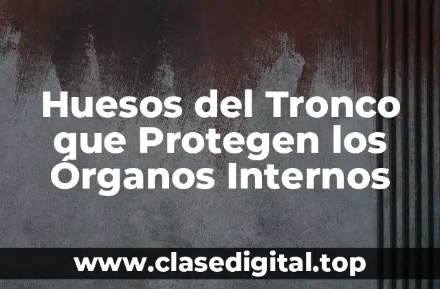 Huesos del Tronco que Protegen los Órganos Internos