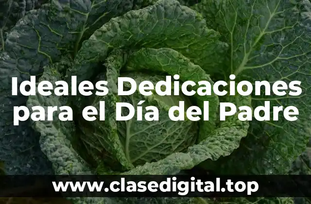 Ideales Dedicaciones para el Día del Padre