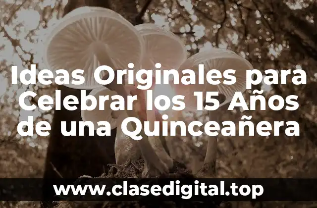 Ideas Originales para Celebrar los 15 Años de una Quinceañera