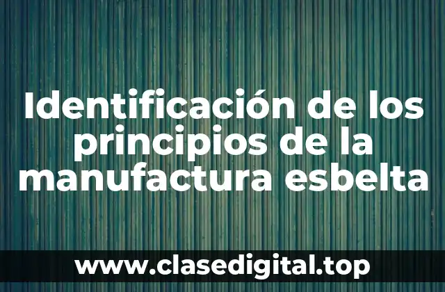 Identificación de los principios de la manufactura esbelta