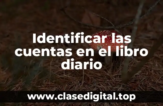 Identificar las cuentas en el libro diario