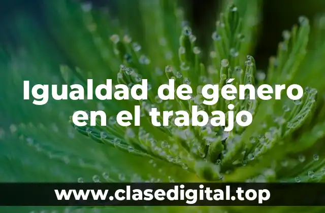 Igualdad de género en el trabajo