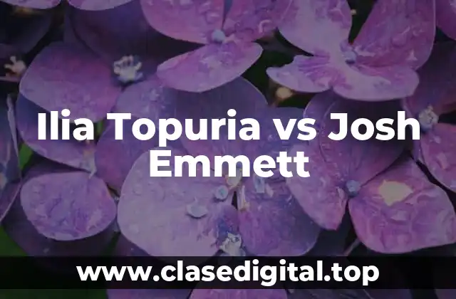 Quién es Ilia Topuria: El Luchador Español que Ha Revolucionado el UFC