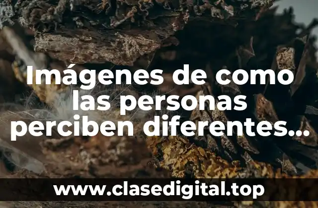 Imágenes de como las personas perciben diferentes cosas