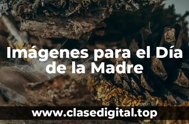 Imágenes para el Día de la Madre