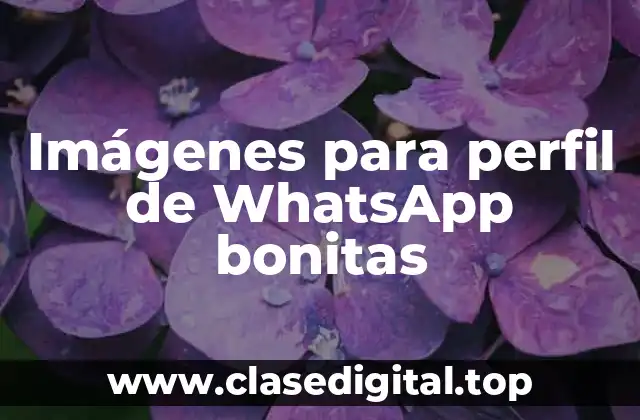 ¿Por qué son importantes las imágenes para perfil de WhatsApp?