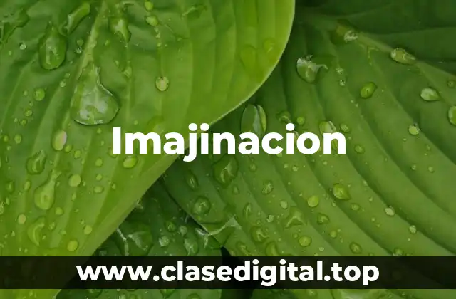 Ejemplos de Imajinacion