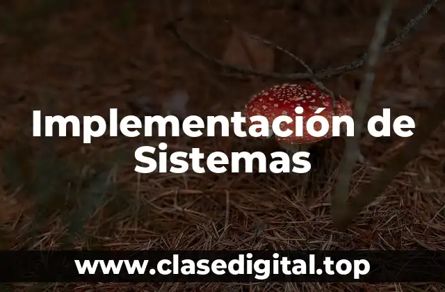 Implementación de Sistemas