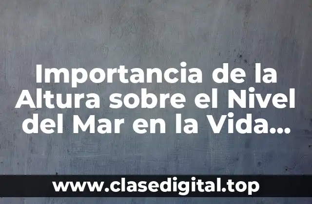 Importancia de la Altura sobre el Nivel del Mar en la Vida Cotidiana