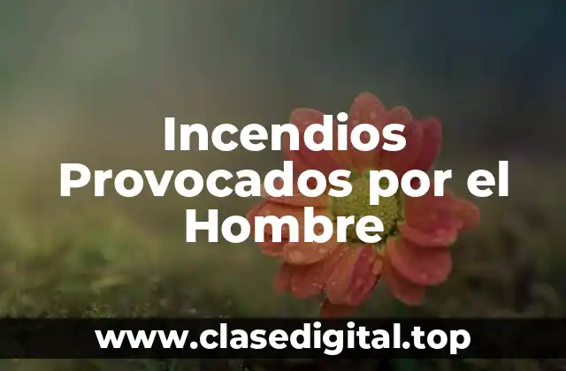 Ejemplos de incendios provocados por el hombre