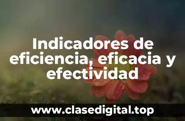 Indicadores de eficiencia, eficacia y efectividad