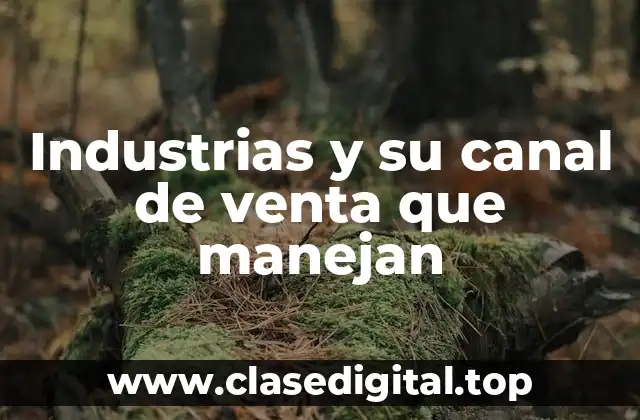Industrias y su canal de venta que manejan