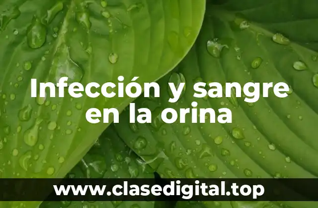 Infección y sangre en la orina