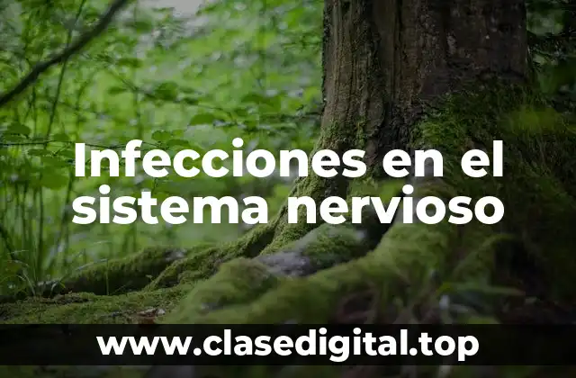 Ejemplos de infecciones en el sistema nervioso