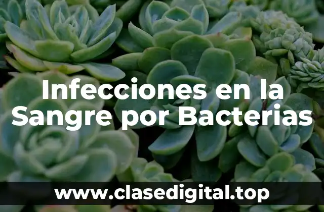 Infecciones en la Sangre por Bacterias