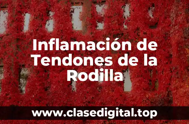 Inflamación de Tendones de la Rodilla