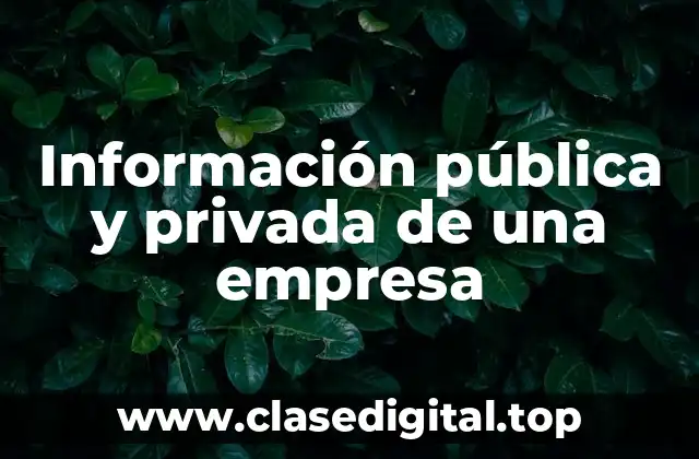 Ejemplos de información pública y privada de una empresa