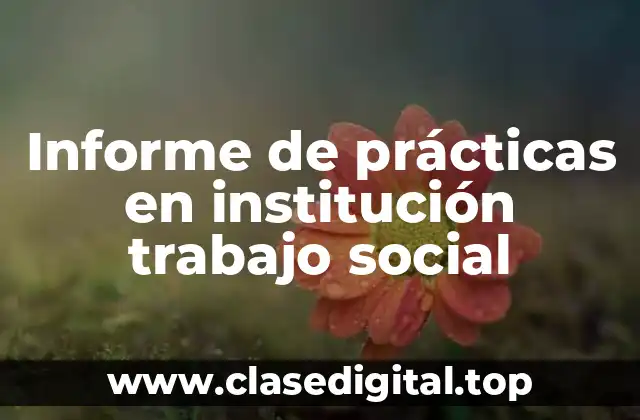 Informe de prácticas en institución trabajo social